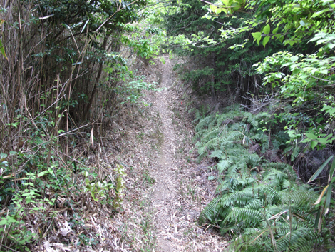20140426hike (287)